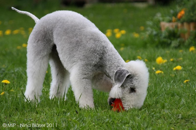 2011-04-23 Quincy etc (46).jpg